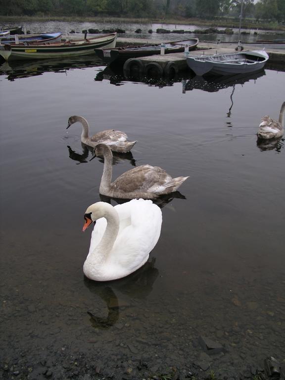 Lakeland Midsummer Lakehouse Oughterard Eksteriør billede